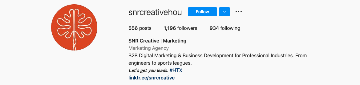 SNR Creative Instagram Bio 